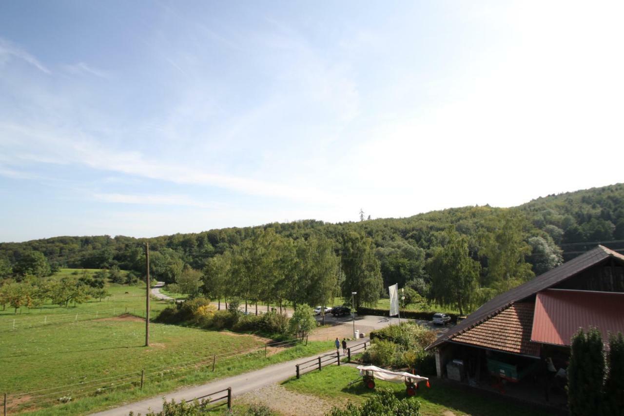 Ferienwohnung Edelbrenner Rimbach  Экстерьер фото